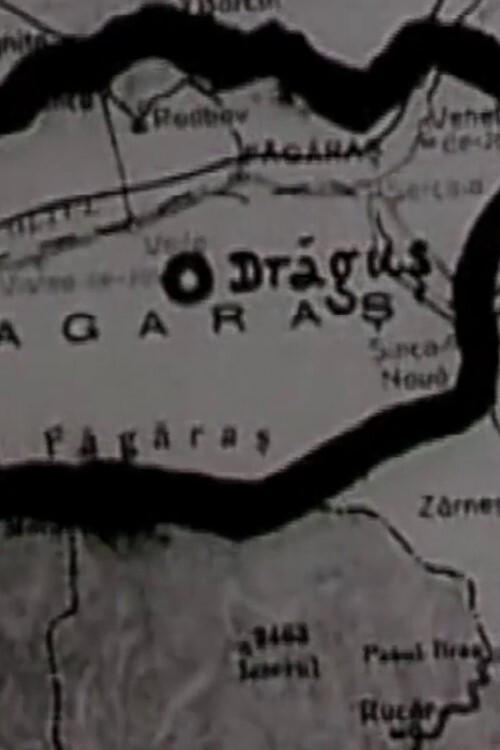 Dragus