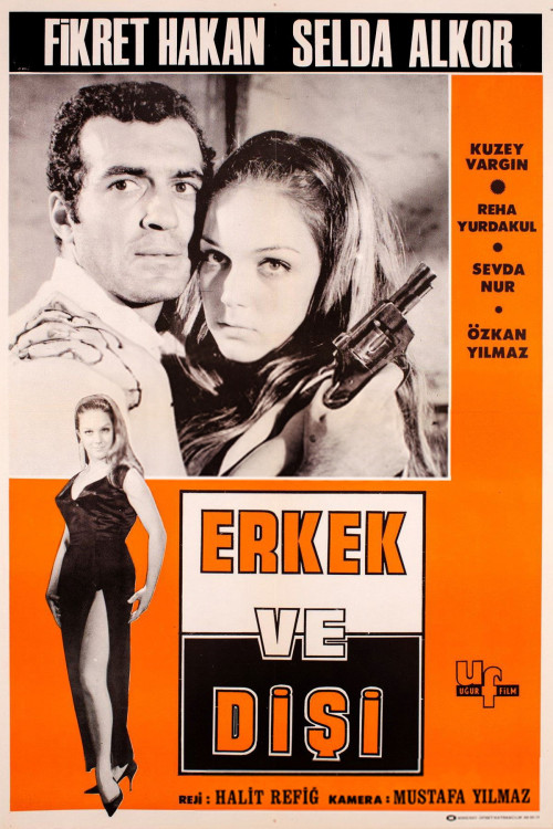 Erkek ve disi