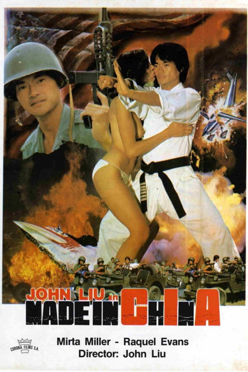 Ninja in the Claws of the CIA