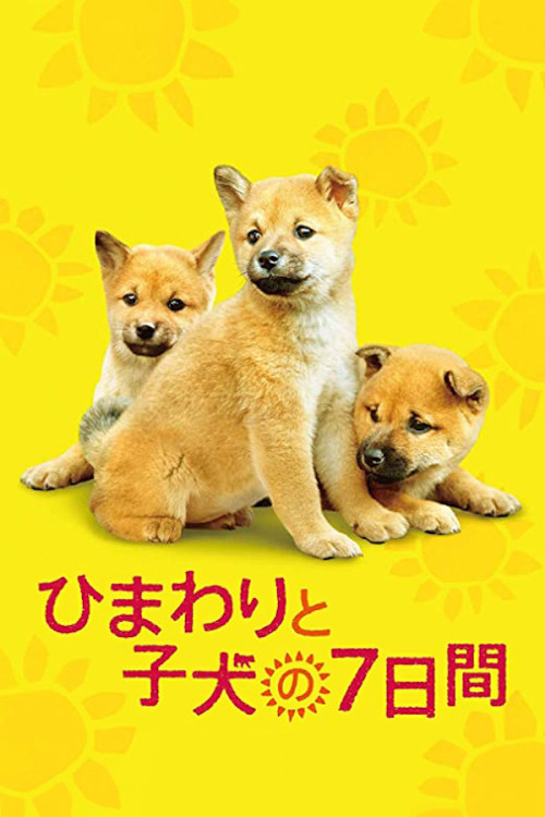 Seven Days of Himawari and Her Puppies