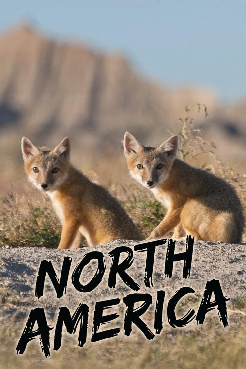 North America