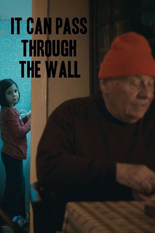 It Can Pass Through the Wall
