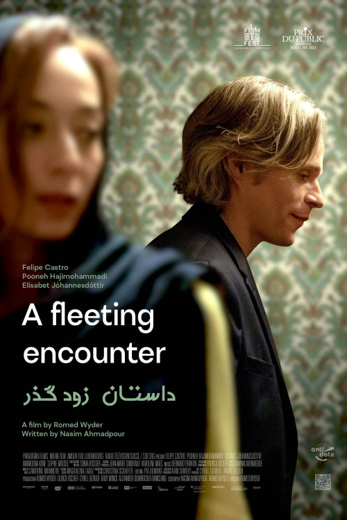 A Fleeting Encounter