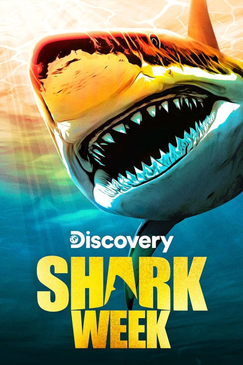 Shark Week Pig vs. Shark