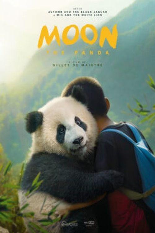 Moon the Panda